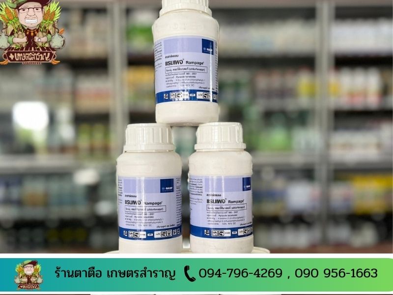 ยาฆ่าแมลง ปทุมธานี