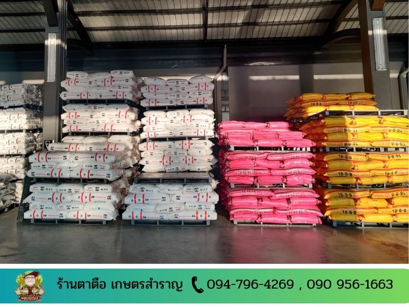 ปุ๋ย ปทุมธานี